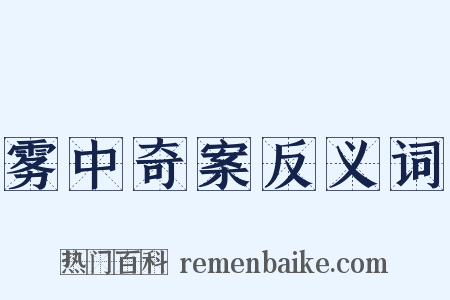 雾中奇案反义词是什么意思的图片